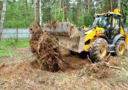 Удаление деревьев трактором